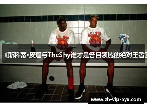 《斯科蒂·皮蓬与TheShy谁才是各自领域的绝对王者》