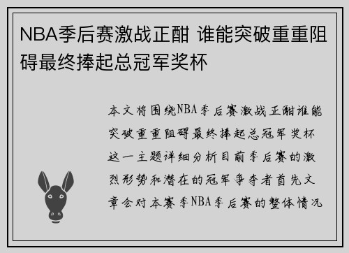 NBA季后赛激战正酣 谁能突破重重阻碍最终捧起总冠军奖杯